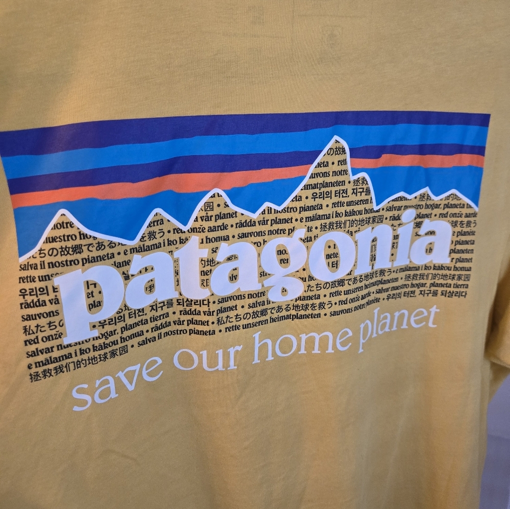 Patagonia Adult Fitz Roy Icon Responsibili-Tee Organic T-Shirt Size Small